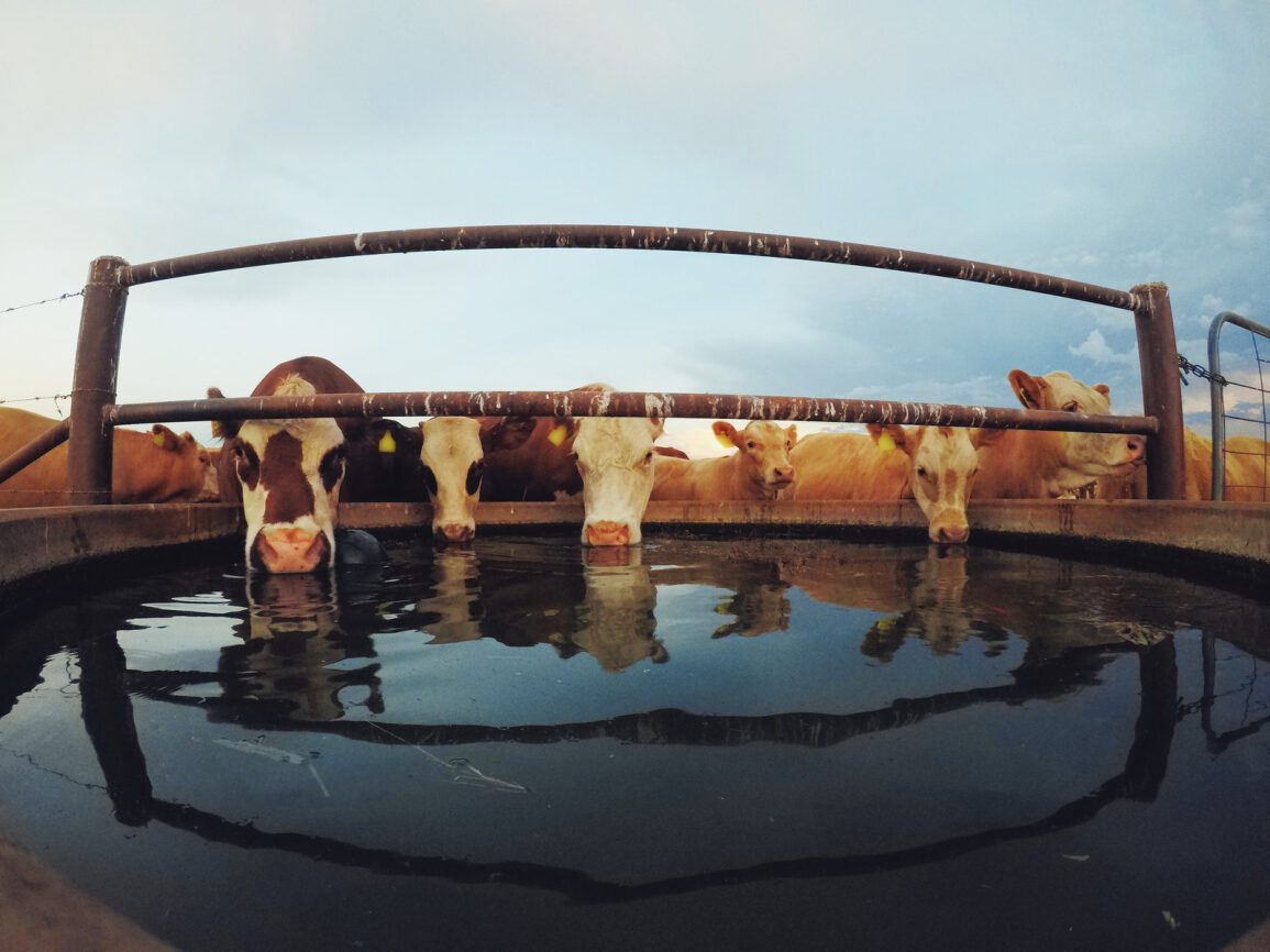 The power of benchmarking in farming businesses