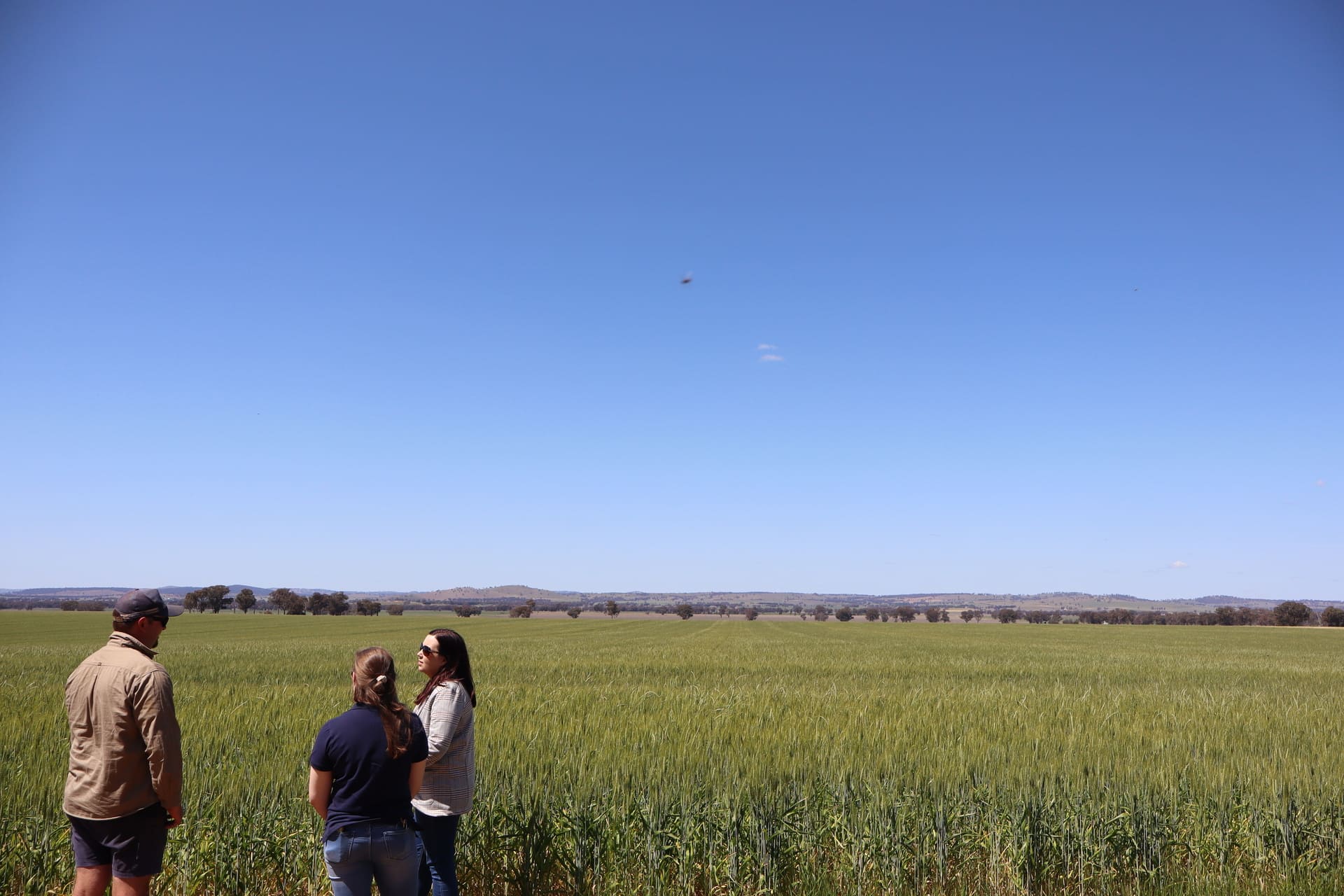Unlocking Success: Setting Your Farm Up for a Strong Year Ahead