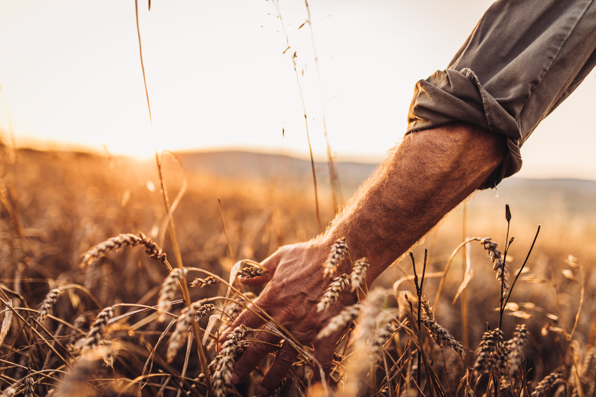 The Golden Rules of Tax Planning