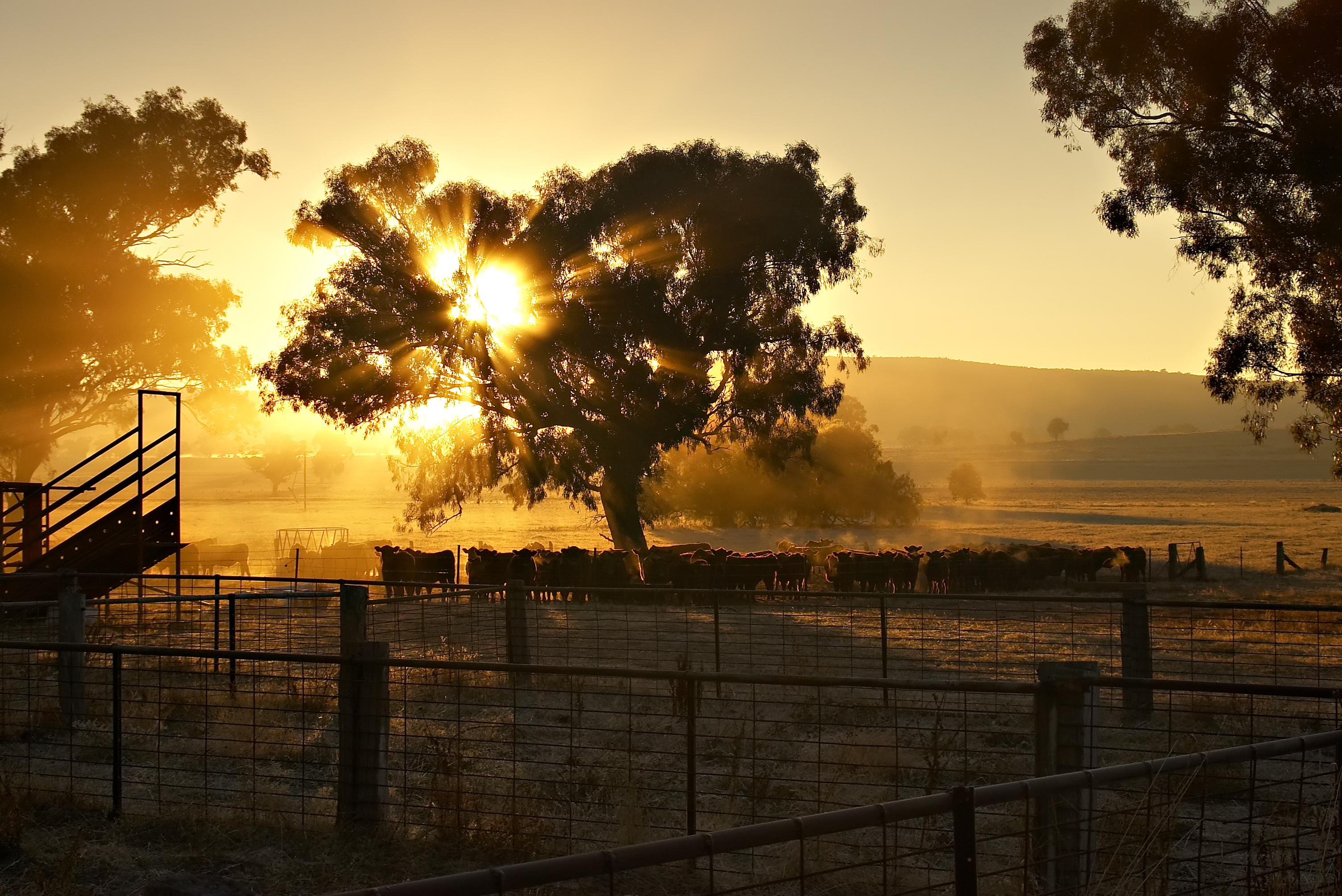 ABARES Outlook