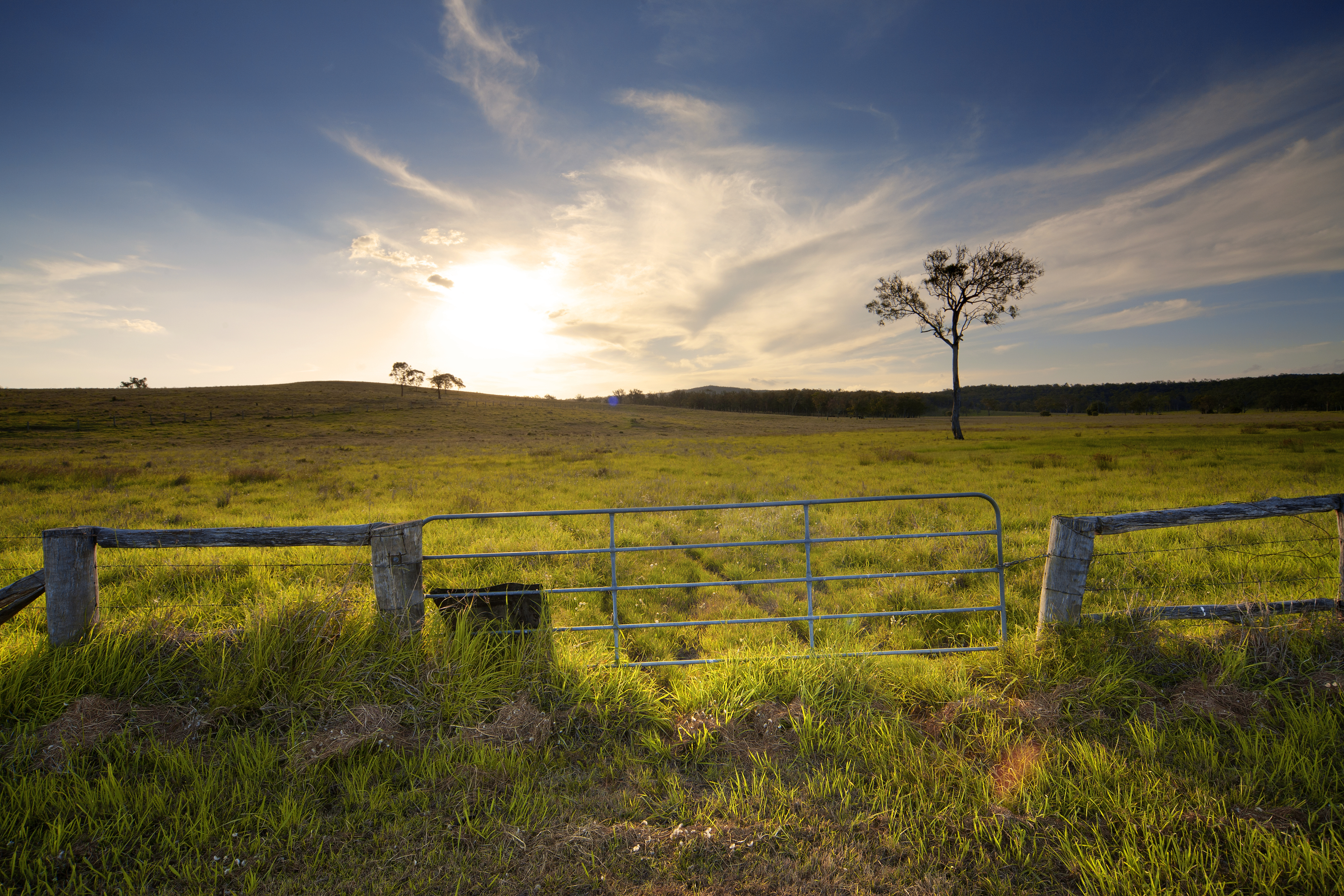 Chris' Farm is back on track